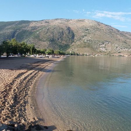 Panorama Plataria Ionio Studios&Apartments Luaran gambar